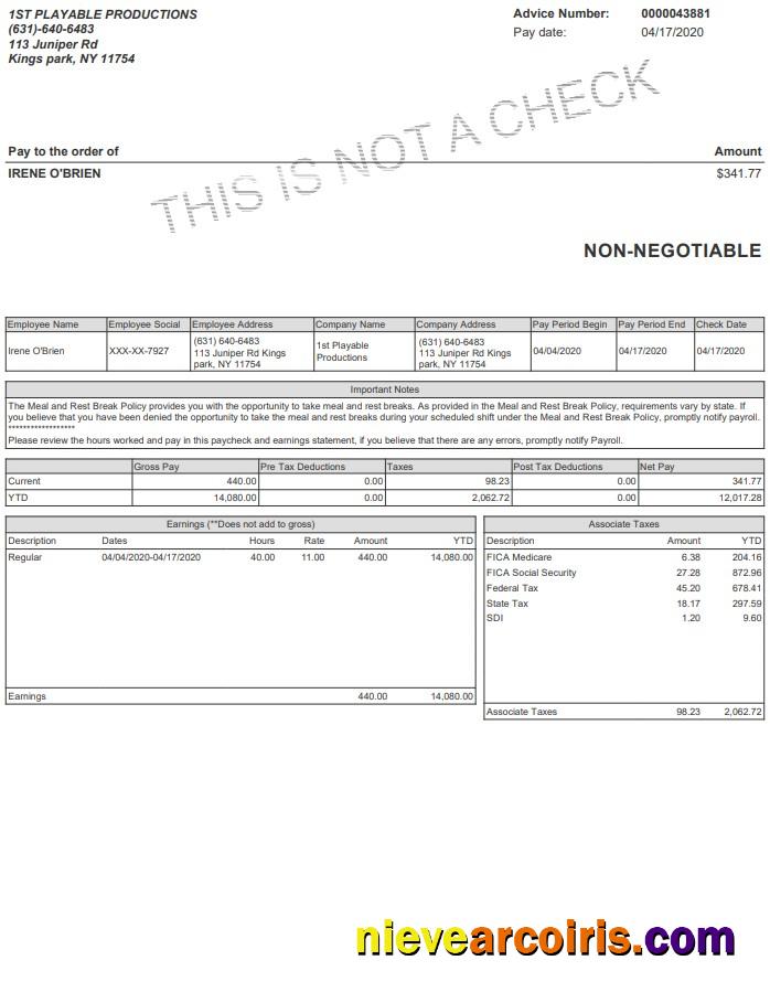 Playable Productions Paystub